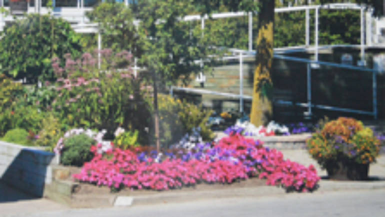 Bluffers Park Marina Wins a Trillium Garden Award