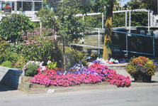 Bluffers Park Marina Wins a Trillium Garden Award