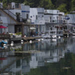 A tight-knit community of 24 floating homes is nestled in Bluffer's Park Marina at the base of the Scarborough Bluffs.