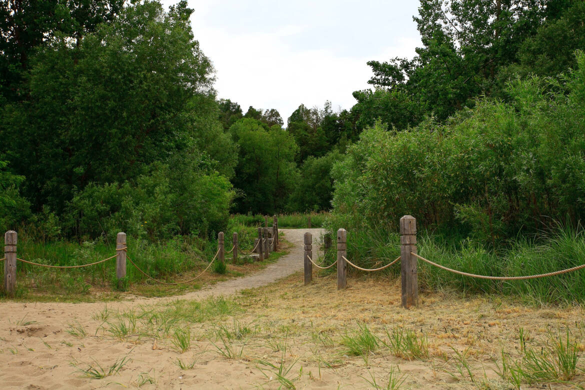 trail2_MG_9355.jpg