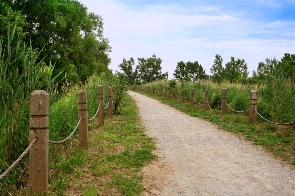 the Bluffers Park Trail a walking path you can explore at Bluffers Park Marina, Toronto's only full service marina