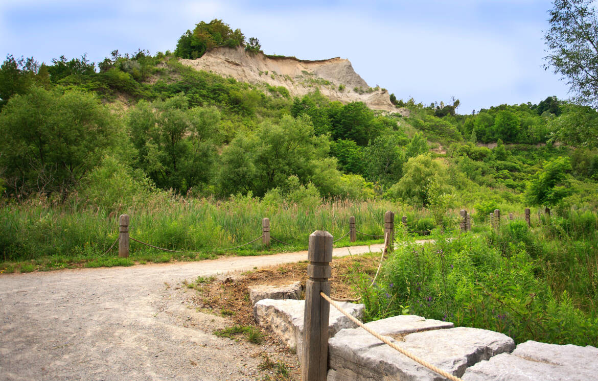 trail5_MG_9363.jpg