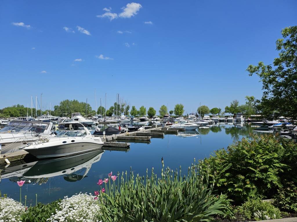 pretty marina pic summer